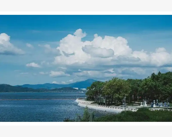 通过拔罐除湿气效果最好的方法有哪些？